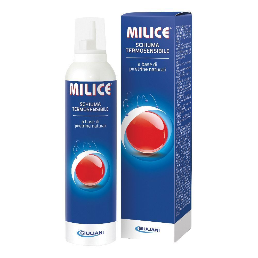 Milice multipach schiuma+ shampoo+ pettine