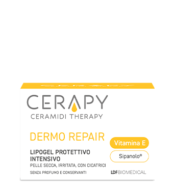 Cerapy dermo repair