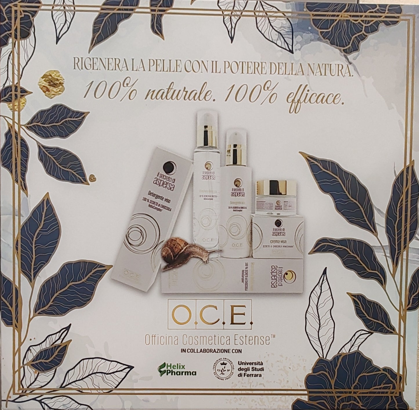 Cofanetto Il secreto di aspersa