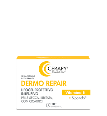 Cerapy dermo repair