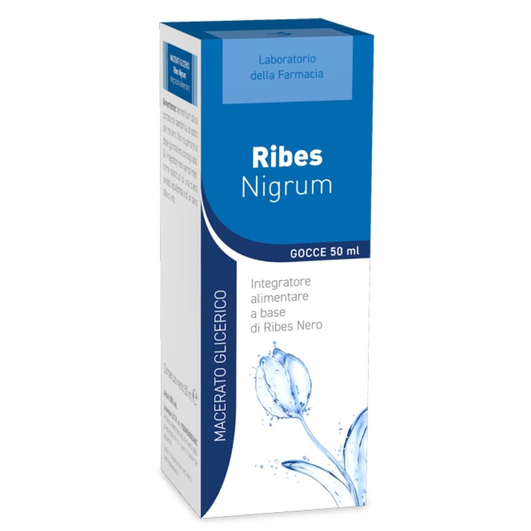 LDF Ribes Nigrum